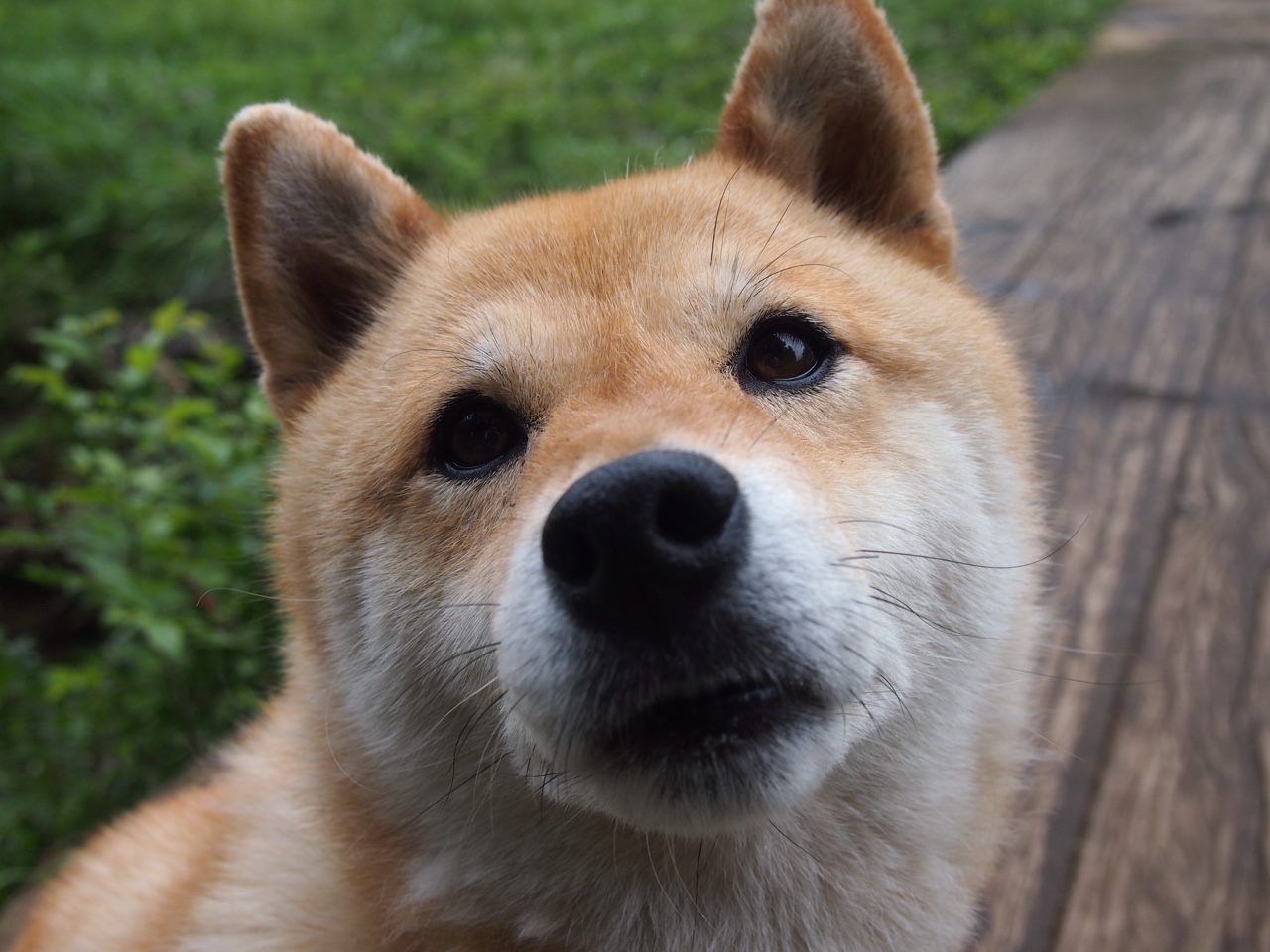 都市奇迹赛：在摩天大楼之间设置的高空网球挑战