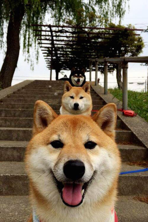 中国篮球运动赛事安全保障体系建设，篮球赛保障需要哪些东西