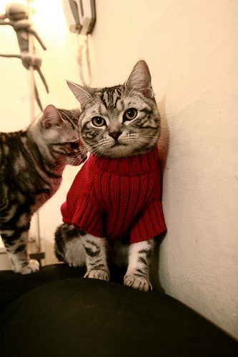 九游体育娱乐-凯恩重新出山，前锋成为球队进攻核心，凯恩的球队