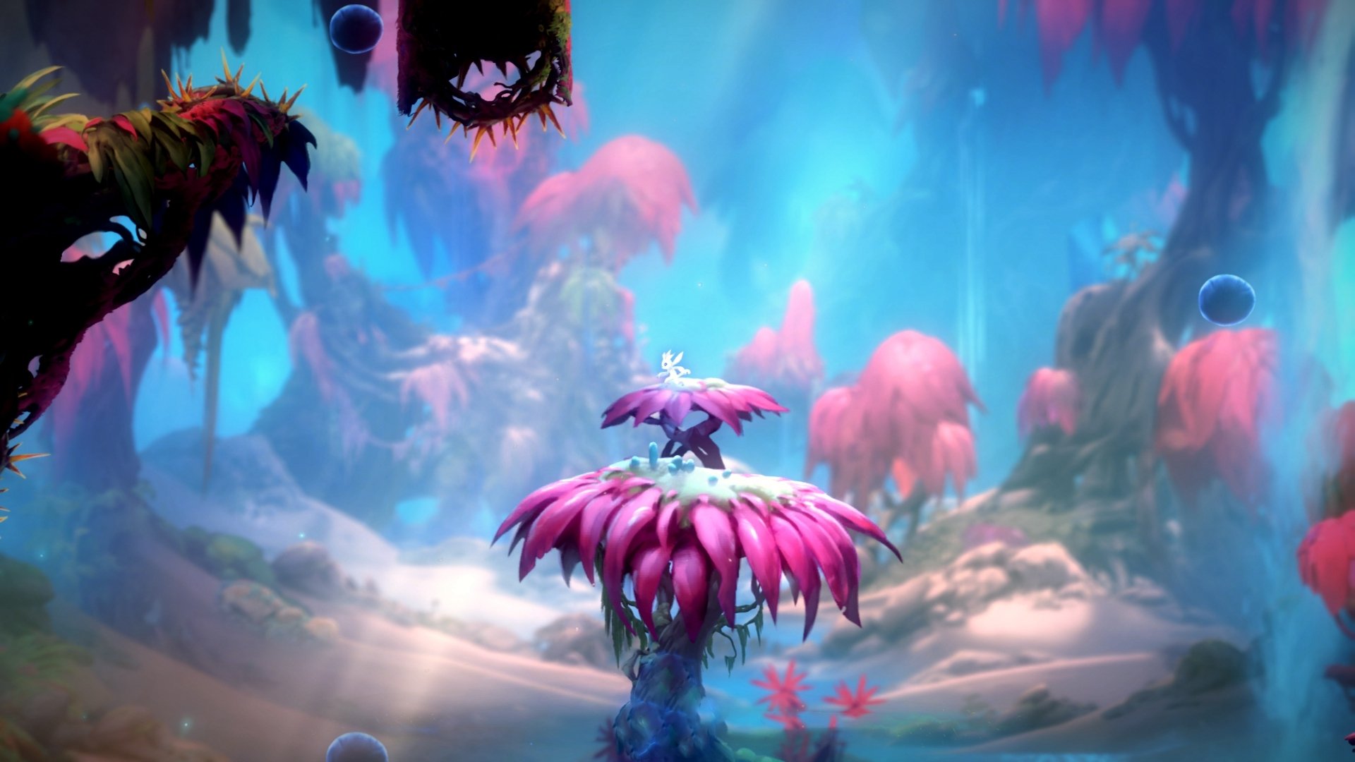 塞内加尔震撼亮相冬奥足球赛场，首战击败瑞士，塞内加尔在东京奥运会第几个出场