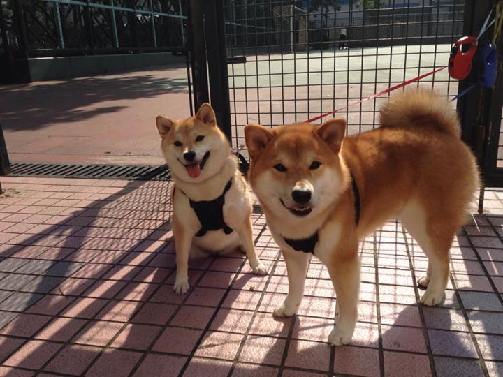 九游官网-天津泰达迎来胜利走势，球队信心大增，天津泰达足球队赛程表