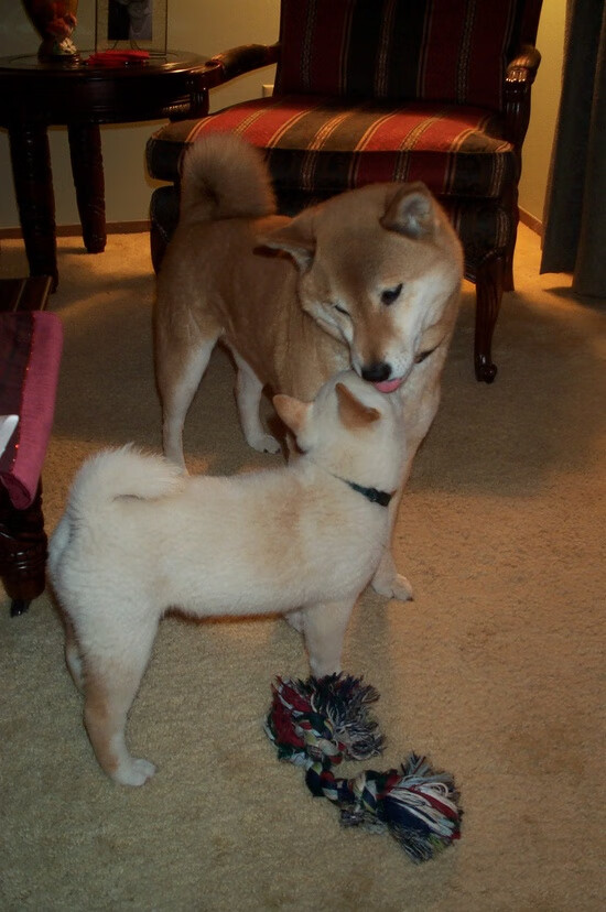 尤文图斯豪取三分！客场大捷，全队势如破竹，尤文图斯集锦