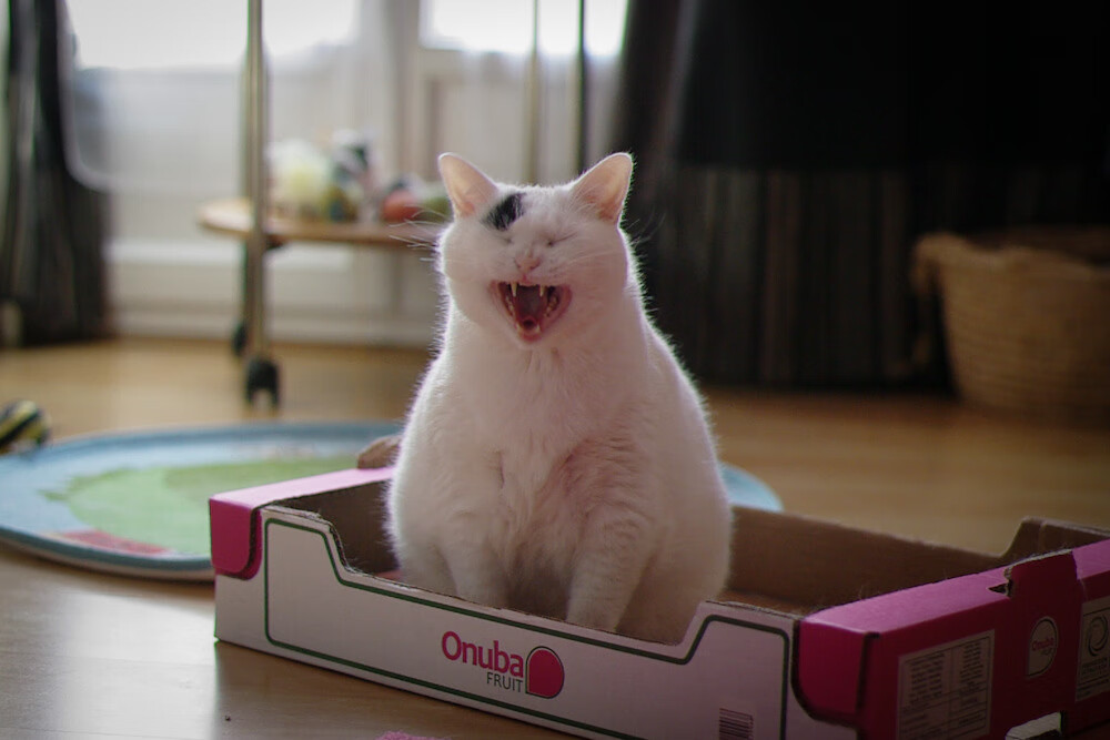 日本足球青训成果显著，日本的足球青训