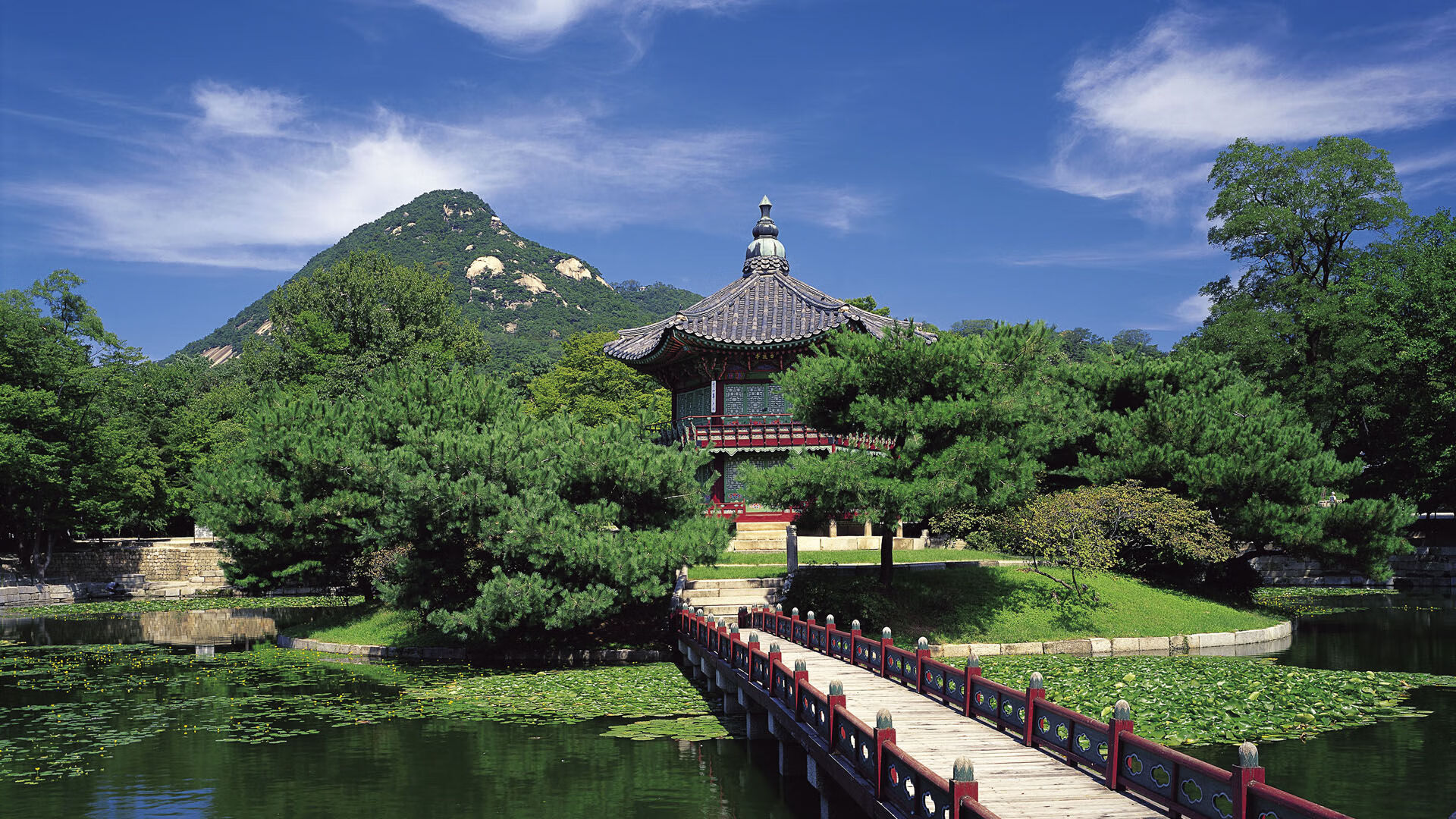 国足历史最佳阵容分析,国足历史最佳阵容分析图