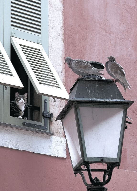 英超球队体能监控技术助力赛季中期负荷平衡，英超体育