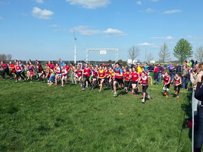 九游体育下载-青少年体育活动参与动机分析与提升，青少年体育活动参与动机分析与提升研究